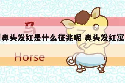 面相鼻头发红是什么征兆呢 鼻头发红寓意什么