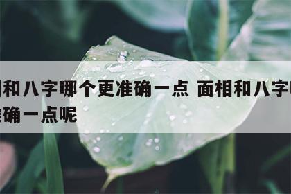 面相和八字哪个更准确一点 面相和八字哪个更准确一点呢