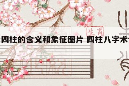 八字四柱的含义和象征图片 四柱八字术语大全