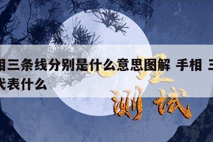 手相三条线分别是什么意思图解 手相 三条线代表什么