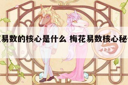 梅花易数的核心是什么 梅花易数核心秘传披露