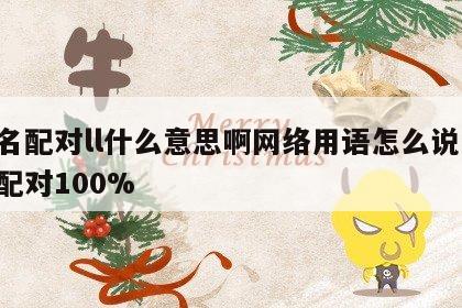 姓名配对ll什么意思啊网络用语怎么说 姓名配对100%
