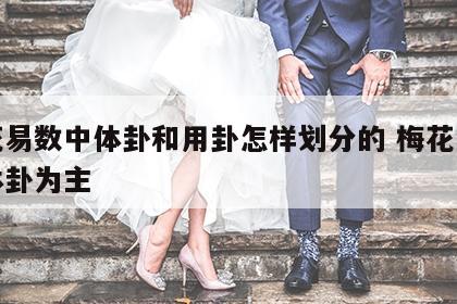 梅花易数中体卦和用卦怎样划分的 梅花易数以体卦为主