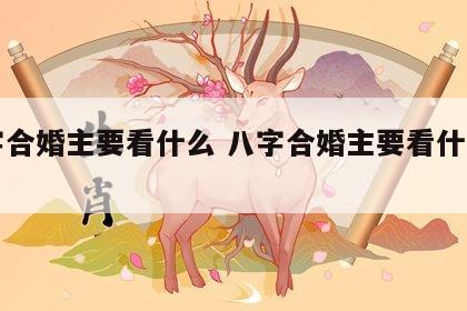 八字合婚主要看什么 八字合婚主要看什么内容