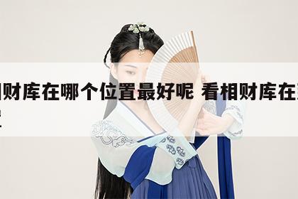 面相财库在哪个位置最好呢 看相财库在那个位置