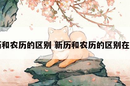 新历和农历的区别 新历和农历的区别在哪里