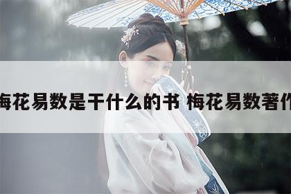 梅花易数是干什么的书 梅花易数著作