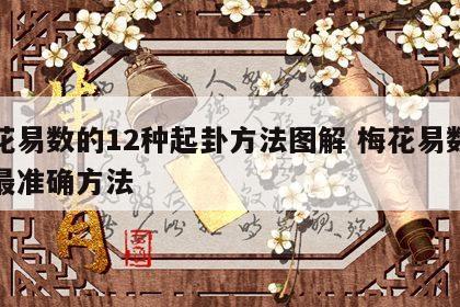 梅花易数的12种起卦方法图解 梅花易数起卦最准确方法