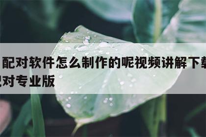 姓名配对软件怎么制作的呢视频讲解下载 姓名配对专业版