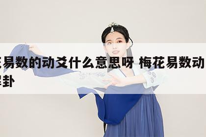 梅花易数的动爻什么意思呀 梅花易数动爻怎么解卦