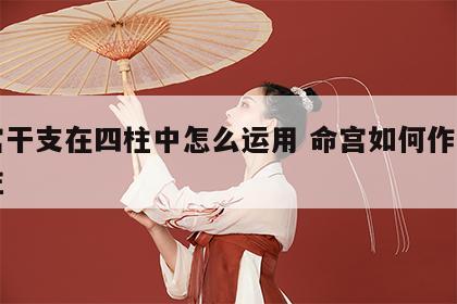 命宫干支在四柱中怎么运用 命宫如何作用于四柱