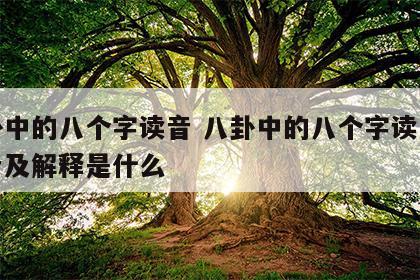 八卦中的八个字读音 八卦中的八个字读音的读音及解释是什么