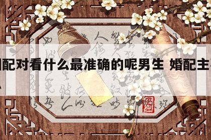 婚姻配对看什么最准确的呢男生 婚配主要看什么