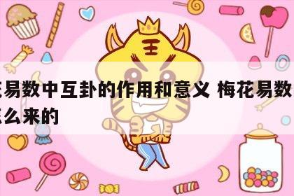 梅花易数中互卦的作用和意义 梅花易数的互卦怎么来的