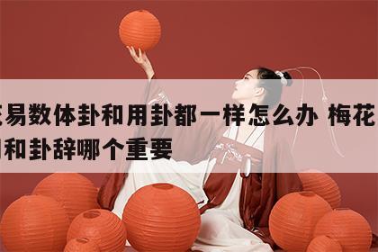 梅花易数体卦和用卦都一样怎么办 梅花易数体用和卦辞哪个重要