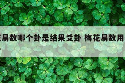 梅花易数哪个卦是结果爻卦 梅花易数用什么解卦