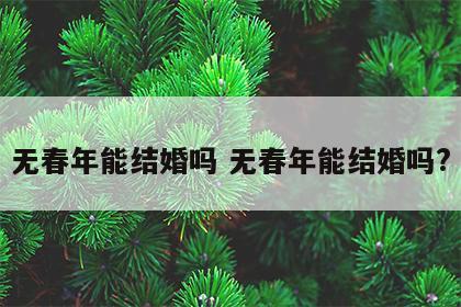 无春年能结婚吗 无春年能结婚吗?