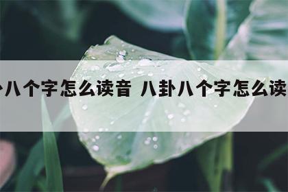 八卦八个字怎么读音 八卦八个字怎么读音发音
