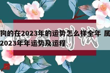 属狗的在2023年的运势怎么样全年 属狗人2023年年运势及运程