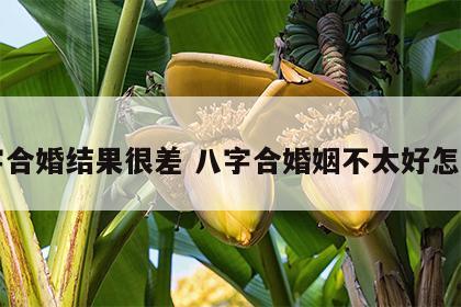 八字合婚结果很差 八字合婚姻不太好怎么办