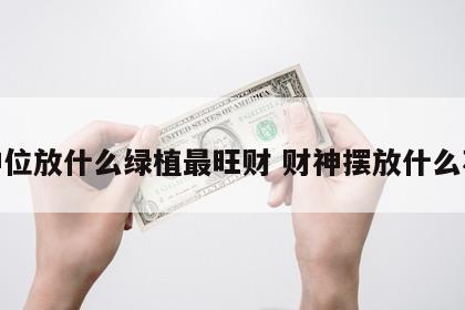 财神位放什么绿植最旺财 财神摆放什么花好