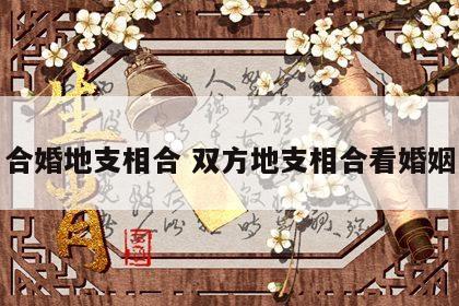 合婚地支相合 双方地支相合看婚姻