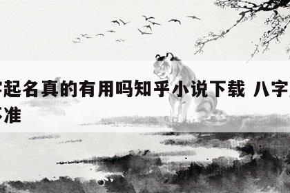 八字起名真的有用吗知乎小说下载 八字起名准不准