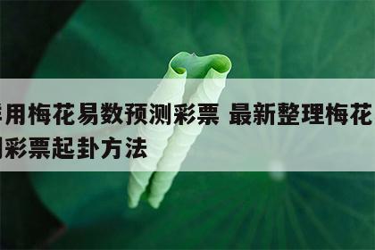 怎样用梅花易数预测彩票 最新整理梅花易数预测彩票起卦方法