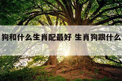生肖狗和什么生肖配最好 生肖狗跟什么最配对