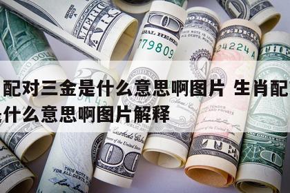 生肖配对三金是什么意思啊图片 生肖配对三金是什么意思啊图片解释