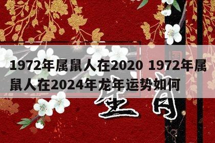 1972年属鼠人在2020 1972年属鼠人在2024年龙年运势如何