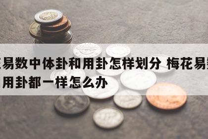 梅花易数中体卦和用卦怎样划分 梅花易数体卦和用卦都一样怎么办