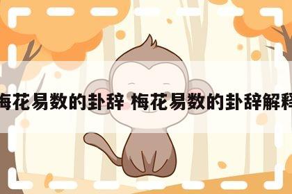 梅花易数的卦辞 梅花易数的卦辞解释