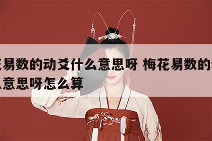 梅花易数的动爻什么意思呀 梅花易数的动爻什么意思呀怎么算