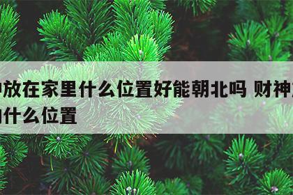 财神放在家里什么位置好能朝北吗 财神放在家的什么位置