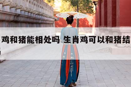 生肖鸡和猪能相处吗 生肖鸡可以和猪结为夫妻吗