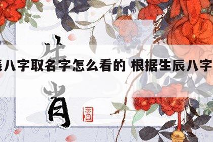 生辰八字取名字怎么看的 根据生辰八字算名字