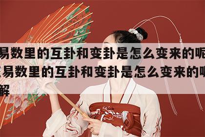 梅花易数里的互卦和变卦是怎么变来的呢视频 梅花易数里的互卦和变卦是怎么变来的呢视频讲解