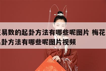 梅花易数的起卦方法有哪些呢图片 梅花易数的起卦方法有哪些呢图片视频