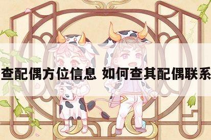 怎么查配偶方位信息 如何查其配偶联系方式