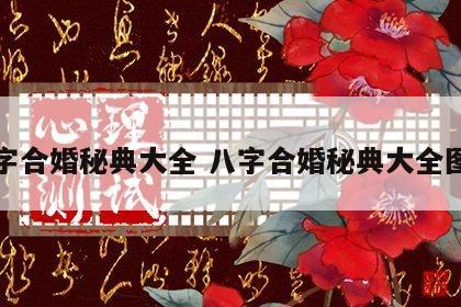 八字合婚秘典大全 八字合婚秘典大全图解
