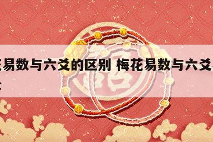 梅花易数与六爻的区别 梅花易数与六爻不同之处
