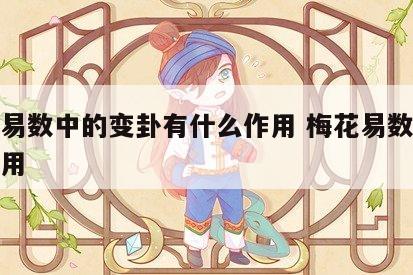 梅花易数中的变卦有什么作用 梅花易数变卦怎么用