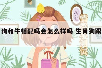 生肖狗和牛相配吗会怎么样吗 生肖狗跟牛配吗