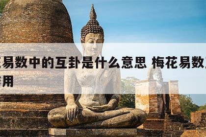 梅花易数中的互卦是什么意思 梅花易数互卦的作用