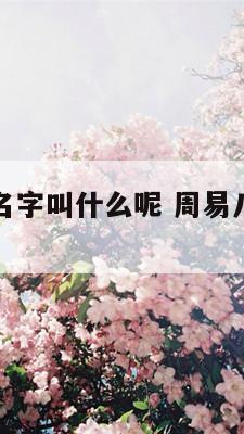 周易八卦的名字叫什么呢 周易八卦的名称和符号
