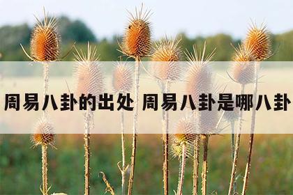 周易八卦的出处 周易八卦是哪八卦