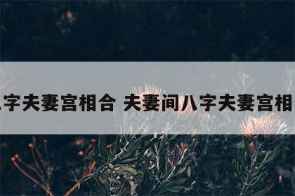 八字夫妻宫相合 夫妻间八字夫妻宫相合