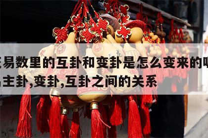 梅花易数里的互卦和变卦是怎么变来的呢 梅花易主卦,变卦,互卦之间的关系