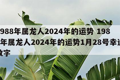 1988年属龙人2024年的运势 1988年属龙人2024年的运势1月28号幸运数字